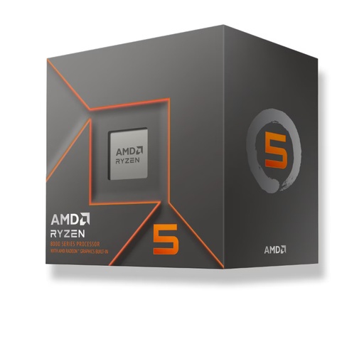 [41040] AMD RYZEN 5 8500G AM5