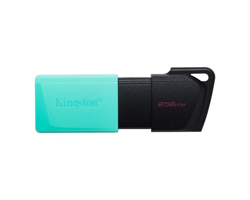 [39033] USB DISK 256 GB DATATRAVELER EXODIA M USB3.2 KINGSTON